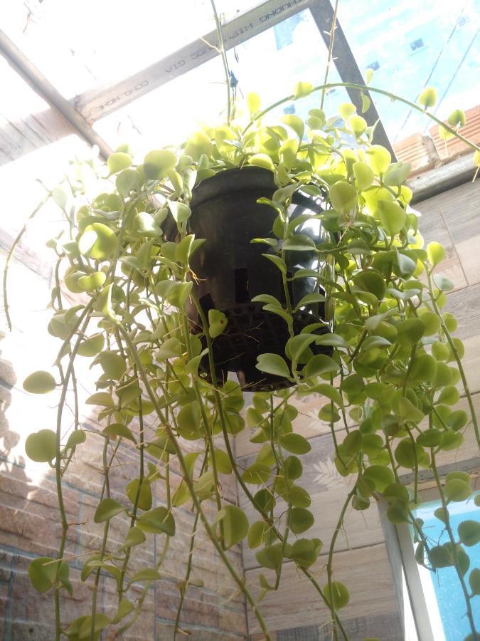 Ha Tien Homestay المظهر الخارجي الصورة
